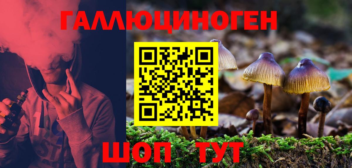 Псилоцибиновые грибы мицелий  Вход с VPN  Клинцы  Галлюциногенные грибы мицелий 